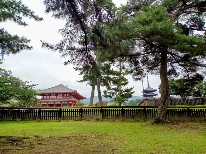 興福寺 五重塔(奈良県)