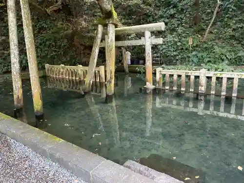 鹿島神宮(茨城県)