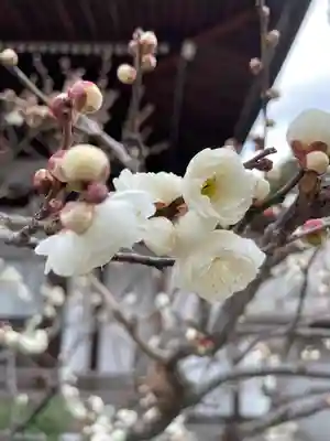 観音院(兵庫県)
