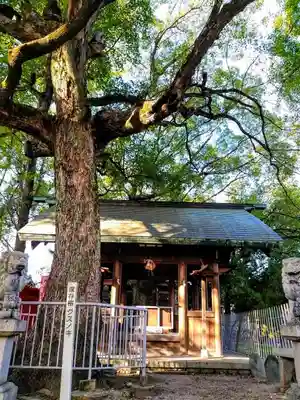神明社（御替地神明社）の本殿・本堂
