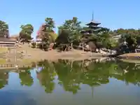 興福寺 中金堂の庭園