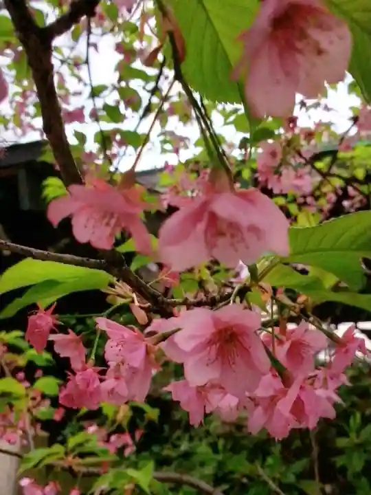 小野照崎神社(東京都)