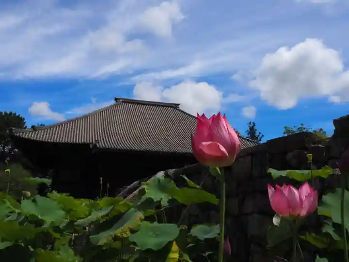 西大寺のその他建物