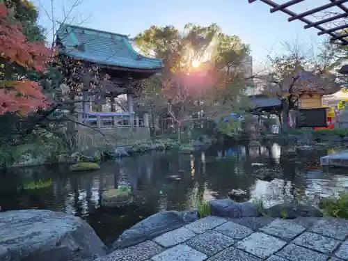 西新井大師総持寺の庭園