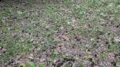 地神社(北海道)