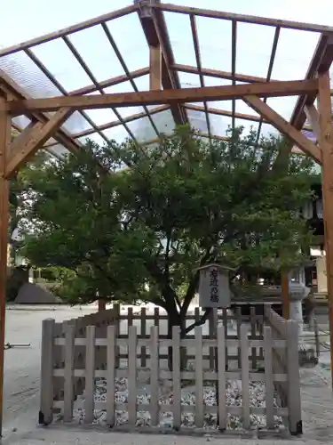 白峯神宮の自然