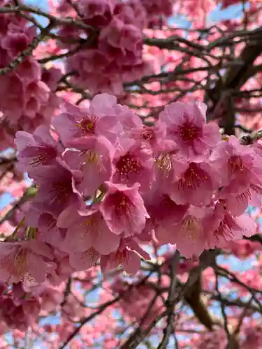 かっぱの寺 栖足寺(静岡県)