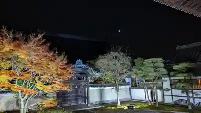 妙顯寺（妙顕寺）(京都府)