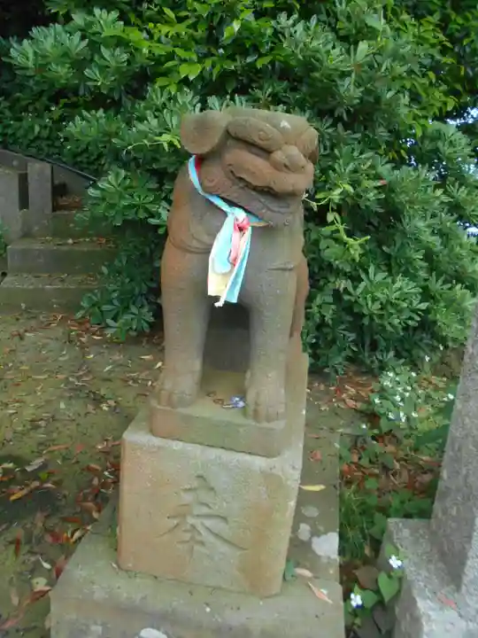 熊野神社(長井熊野神社)の狛犬