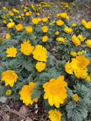 笠石神社(栃木県)