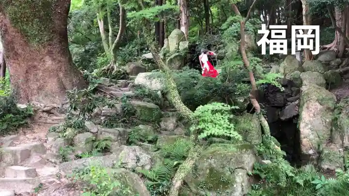 太宰府天満宮(福岡県)