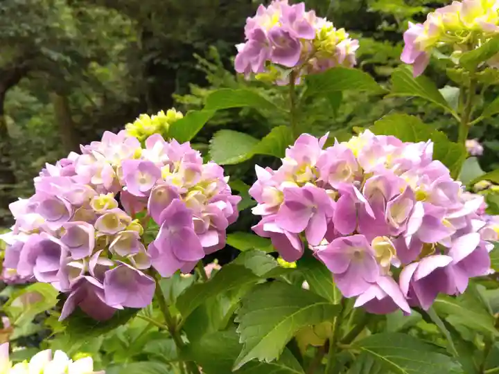 足羽神社(福井県)