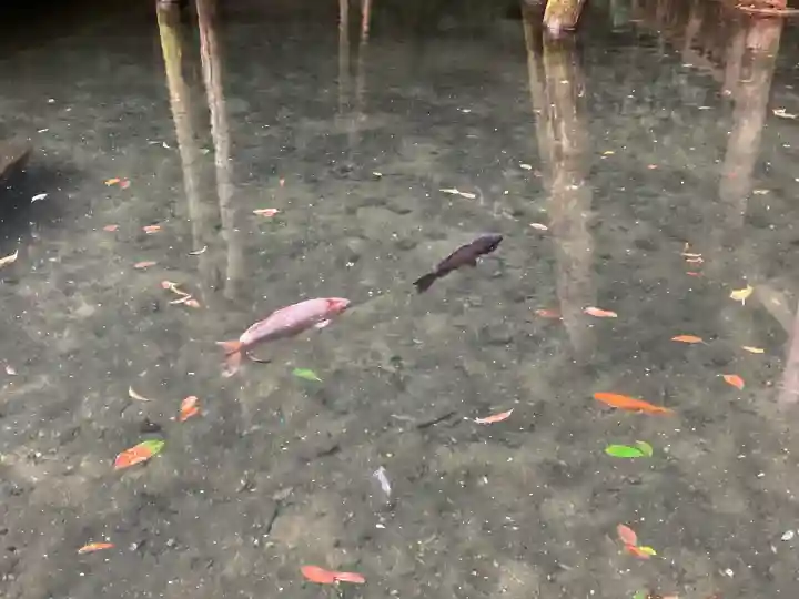 鹿島神宮(茨城県)