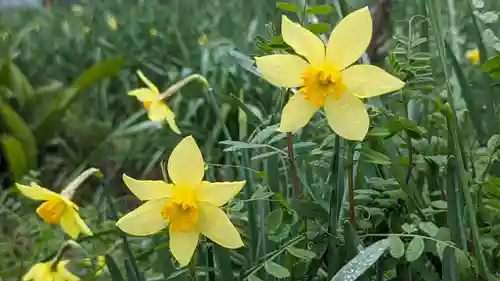 惠心院(京都府)
