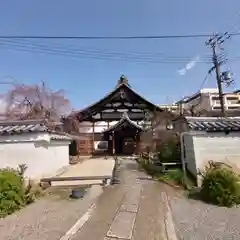 妙蓮寺(京都府)