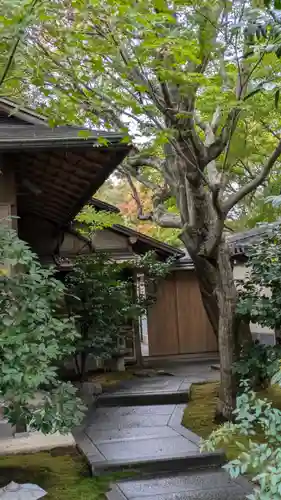 黄梅院(京都府)