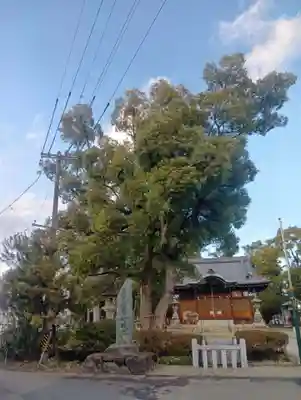 本莊神社(岐阜県)