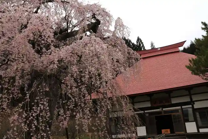 永泉寺の本殿