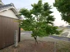 御林秋葉神社の自然