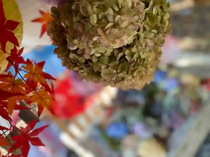 札幌諏訪神社の手水舎