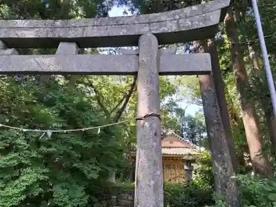 八幡神社の{uncategorized: "未分類", other: "その他", undefined: "問題あり", building: "その他建物", grave: "お墓", sacred_gate: "鳥居", guardian: "狛犬", statue: "像", buddha: "仏像", history: "歴史", nature: "自然", garden: "庭園", animal: "動物", pagoda: "塔", temizu: "手水舎", mountain_gate: "山門・神門", sanctuary: "本殿・本堂", subordinate: "末社・摂社", art: "芸術", scenery: "景色", jizo: "地蔵", ema: "絵馬", goshuin: "御朱印", omikuji: "おみくじ", items: "授与品その他", amulet: "お守り", goshuincho: "御朱印帳", eats: "食事", festival: "お祭り", votive_dance: "神楽", shichigosan: "七五三参", wedding: "結婚式", experience: "体験その他", initially: "初詣", around: "周辺", anti_infection: "感染症対策"}