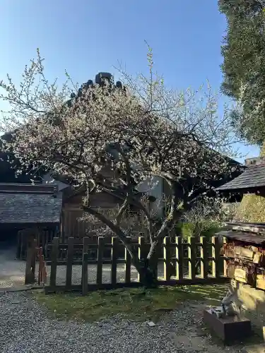 出雲大社の{uncategorized: "未分類", other: "その他", undefined: "問題あり", building: "その他建物", grave: "お墓", sacred_gate: "鳥居", guardian: "狛犬", statue: "像", buddha: "仏像", history: "歴史", nature: "自然", garden: "庭園", animal: "動物", pagoda: "塔", temizu: "手水舎", mountain_gate: "山門・神門", sanctuary: "本殿・本堂", subordinate: "末社・摂社", art: "芸術", scenery: "景色", jizo: "地蔵", ema: "絵馬", goshuin: "御朱印", omikuji: "おみくじ", items: "授与品その他", amulet: "お守り", goshuincho: "御朱印帳", eats: "食事", festival: "お祭り", votive_dance: "神楽", shichigosan: "七五三参", wedding: "結婚式", experience: "体験その他", initially: "初詣", around: "周辺", anti_infection: "感染症対策"}