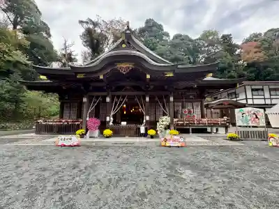 金刀比羅神社の{uncategorized: "未分類", other: "その他", undefined: "問題あり", building: "その他建物", grave: "お墓", sacred_gate: "鳥居", guardian: "狛犬", statue: "像", buddha: "仏像", history: "歴史", nature: "自然", garden: "庭園", animal: "動物", pagoda: "塔", temizu: "手水舎", mountain_gate: "山門・神門", sanctuary: "本殿・本堂", subordinate: "末社・摂社", art: "芸術", scenery: "景色", jizo: "地蔵", ema: "絵馬", goshuin: "御朱印", omikuji: "おみくじ", items: "授与品その他", amulet: "お守り", goshuincho: "御朱印帳", eats: "食事", festival: "お祭り", votive_dance: "神楽", shichigosan: "七五三参", wedding: "結婚式", experience: "体験その他", initially: "初詣", around: "周辺", anti_infection: "感染症対策"}