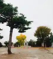 仁玄寺のその他建物