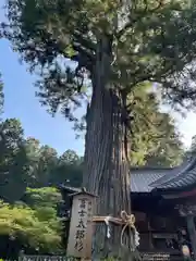 北口本宮冨士浅間神社(山梨県)