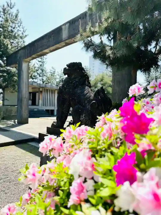 福井神社(福井県)
