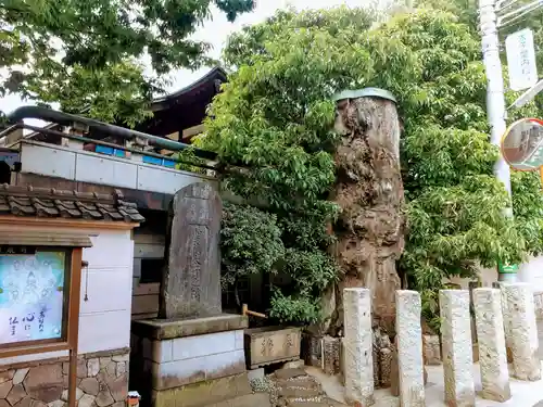 円泉寺のその他建物
