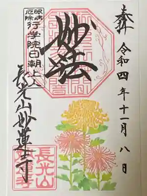 大輪菊