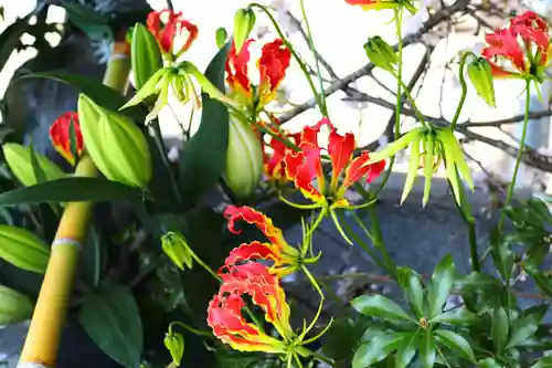三津厳島神社(愛媛県)