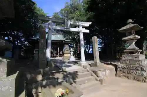 熊野福藏神社の鳥居