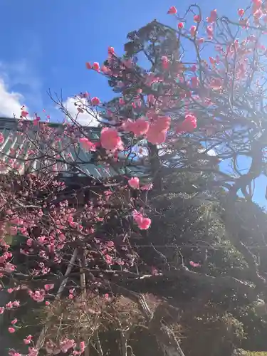 薬師院(神奈川県)