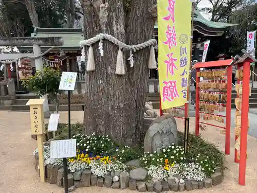 川越八幡宮(埼玉県)