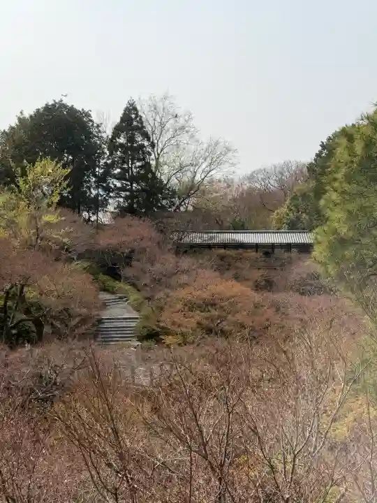東福禅寺(東福寺)の{uncategorized: "未分類", other: "その他", undefined: "問題あり", building: "その他建物", grave: "お墓", sacred_gate: "鳥居", guardian: "狛犬", statue: "像", buddha: "仏像", history: "歴史", nature: "自然", garden: "庭園", animal: "動物", pagoda: "塔", temizu: "手水舎", mountain_gate: "山門・神門", sanctuary: "本殿・本堂", subordinate: "末社・摂社", art: "芸術", scenery: "景色", jizo: "地蔵", ema: "絵馬", goshuin: "御朱印", omikuji: "おみくじ", items: "授与品その他", amulet: "お守り", goshuincho: "御朱印帳", eats: "食事", festival: "お祭り", votive_dance: "神楽", shichigosan: "七五三参", wedding: "結婚式", experience: "体験その他", initially: "初詣", around: "周辺", anti_infection: "感染症対策"}