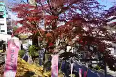 温泉神社〜いわき湯本温泉〜の自然