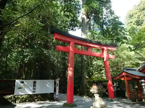 箱根神社の鳥居