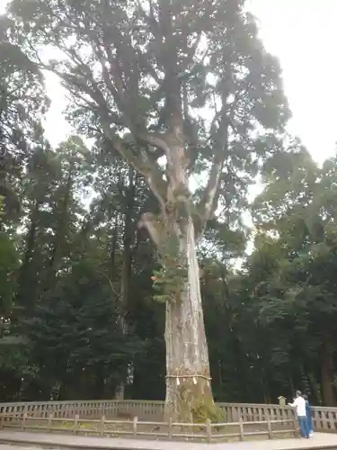 霧島神宮の自然