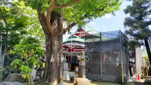 秋葉神社(東京都)