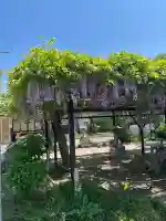 諏訪神社(宮城県)