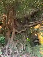 神社(名称不明)(千葉県)