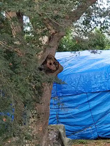 田中霊祠の自然