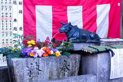 菅原院天満宮神社の初詣