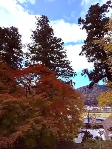 萬徳寺(福井県)