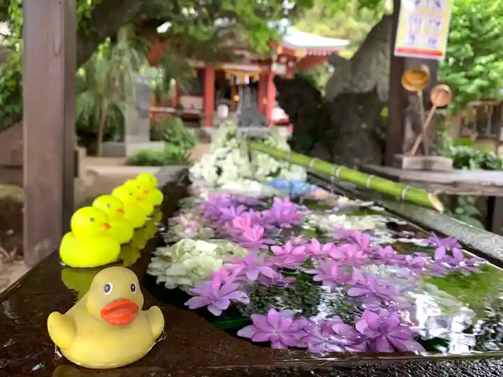 柏諏訪神社の手水舎