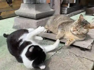 榛名神社(群馬県)