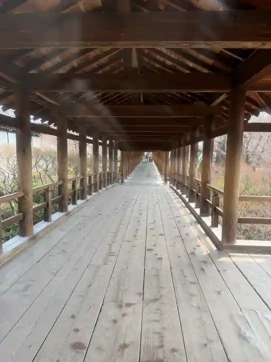 東福禅寺(東福寺)の{uncategorized: "未分類", other: "その他", undefined: "問題あり", building: "その他建物", grave: "お墓", sacred_gate: "鳥居", guardian: "狛犬", statue: "像", buddha: "仏像", history: "歴史", nature: "自然", garden: "庭園", animal: "動物", pagoda: "塔", temizu: "手水舎", mountain_gate: "山門・神門", sanctuary: "本殿・本堂", subordinate: "末社・摂社", art: "芸術", scenery: "景色", jizo: "地蔵", ema: "絵馬", goshuin: "御朱印", omikuji: "おみくじ", items: "授与品その他", amulet: "お守り", goshuincho: "御朱印帳", eats: "食事", festival: "お祭り", votive_dance: "神楽", shichigosan: "七五三参", wedding: "結婚式", experience: "体験その他", initially: "初詣", around: "周辺", anti_infection: "感染症対策"}