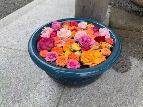 桑名宗社（春日神社）の手水舎